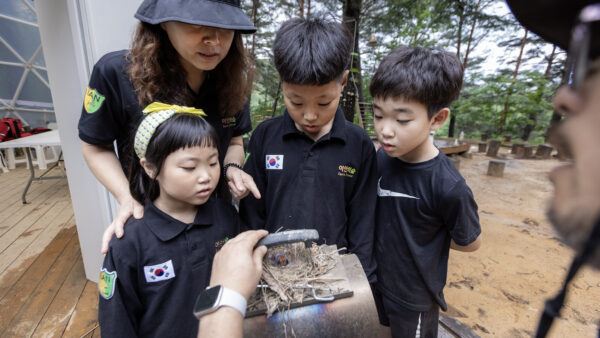 이안숲학교 7월 거북반